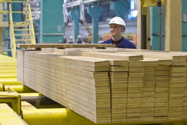Laminated Veneer Lumber (LVL) E12, E13, H2S - For Pre-Order Only! - Image 5