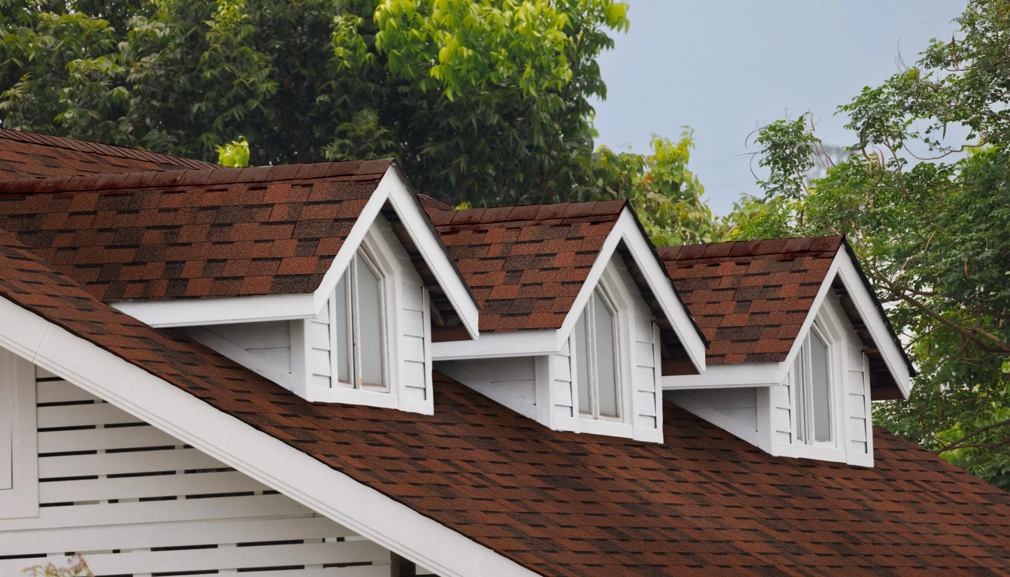 Flexible shingle Tegola Top Shingle Premier - Image 3